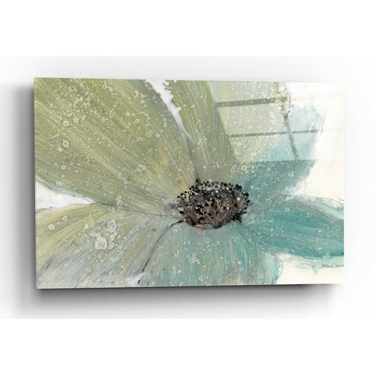 Epic Art 'Floral Spirit I' by Tim O'Toole, Acrylic Glass Wall Art