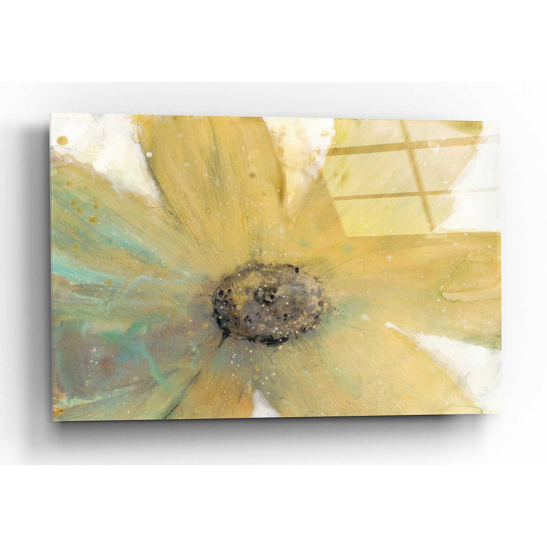 Epic Art 'Floral Spirit II' by Tim O'Toole, Acrylic Glass Wall Art