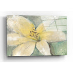Epic Art 'Floral Spirit III' by Tim O'Toole, Acrylic Glass Wall Art