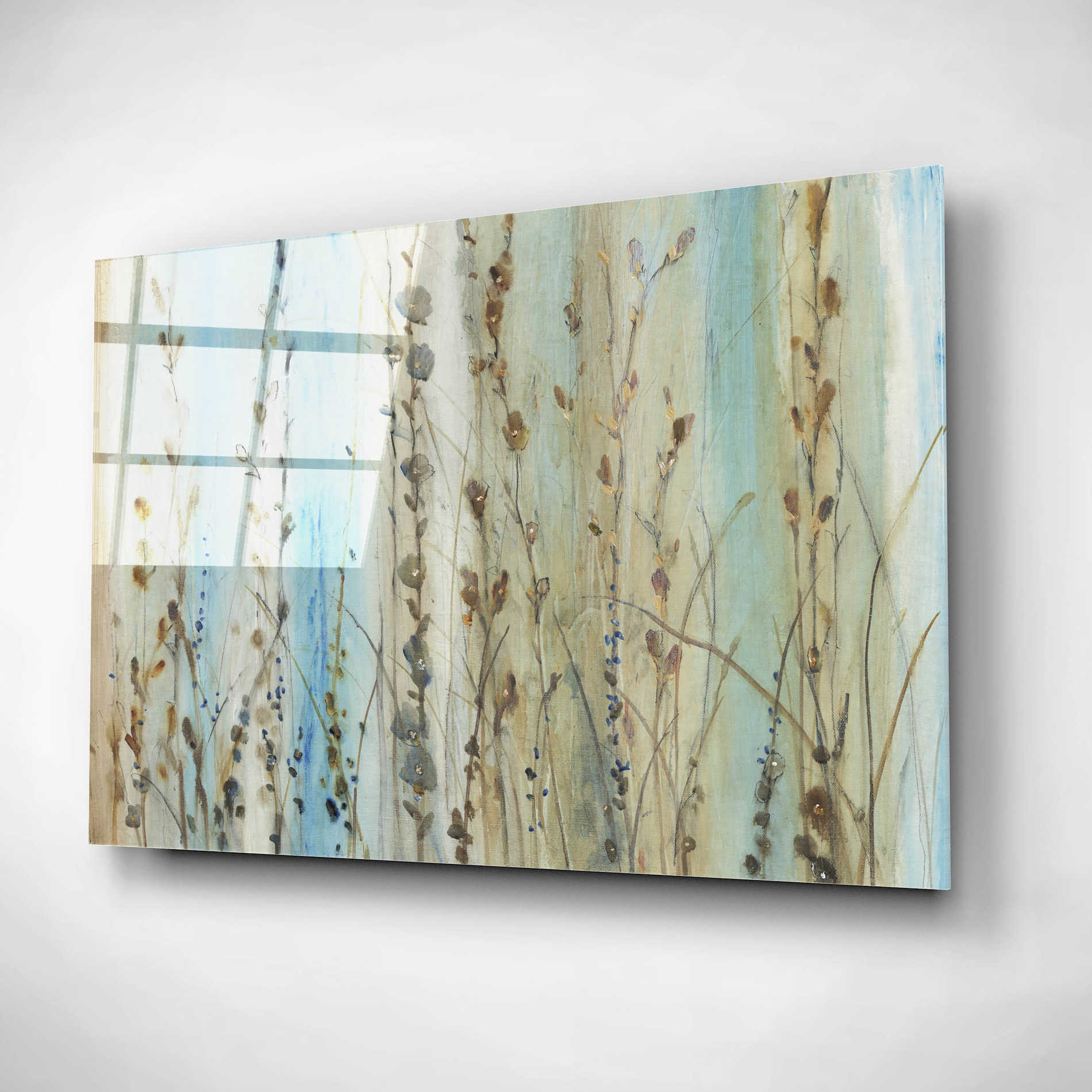 Epic Art 'Ombre Floral I' by Tim O'Toole, Acrylic Glass Wall Art,24x16