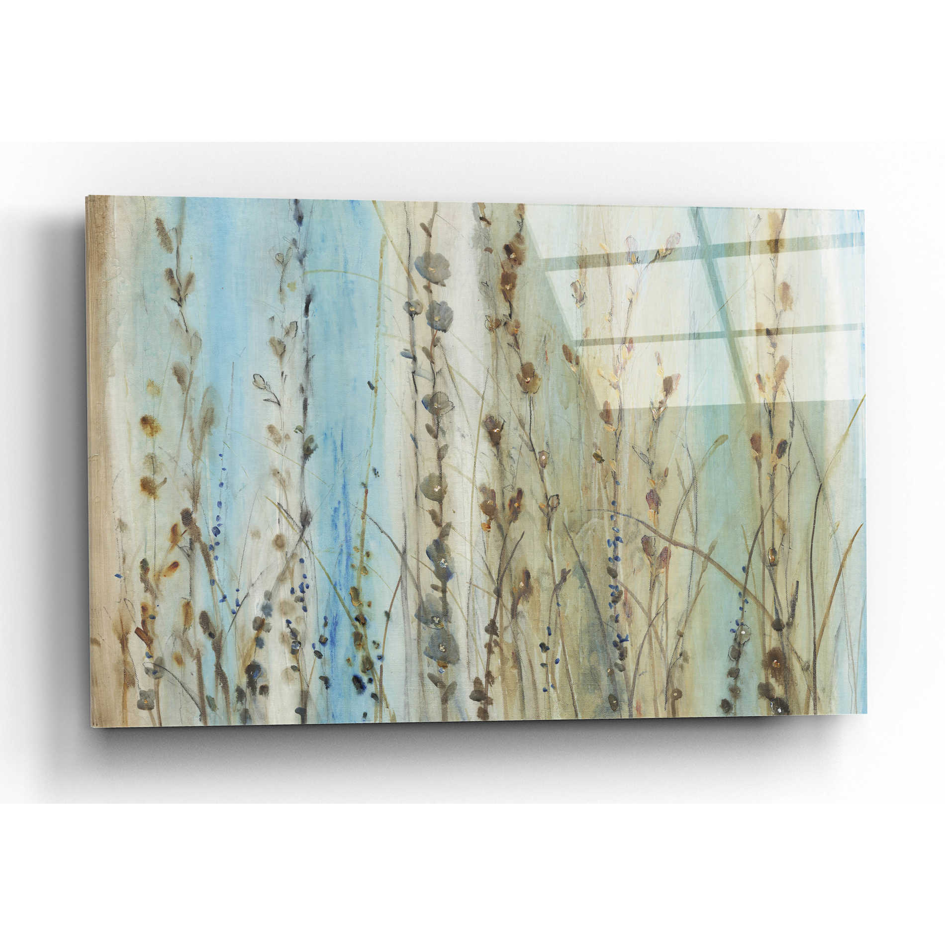 Epic Art 'Ombre Floral I' by Tim O'Toole, Acrylic Glass Wall Art,24x16