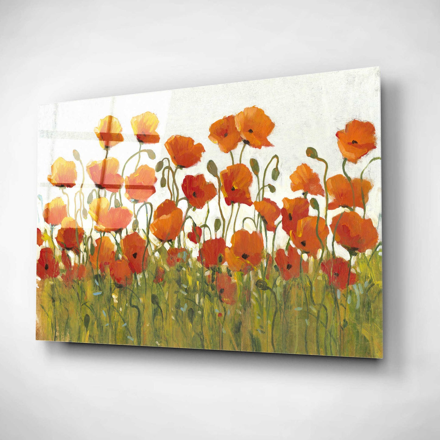 Epic Art 'Rows of Poppies I' by Tim O'Toole, Acrylic Glass Wall Art,16x12