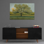 Epic Art 'Sunrise II' by Tim O'Toole, Acrylic Glass Wall Art,36x24