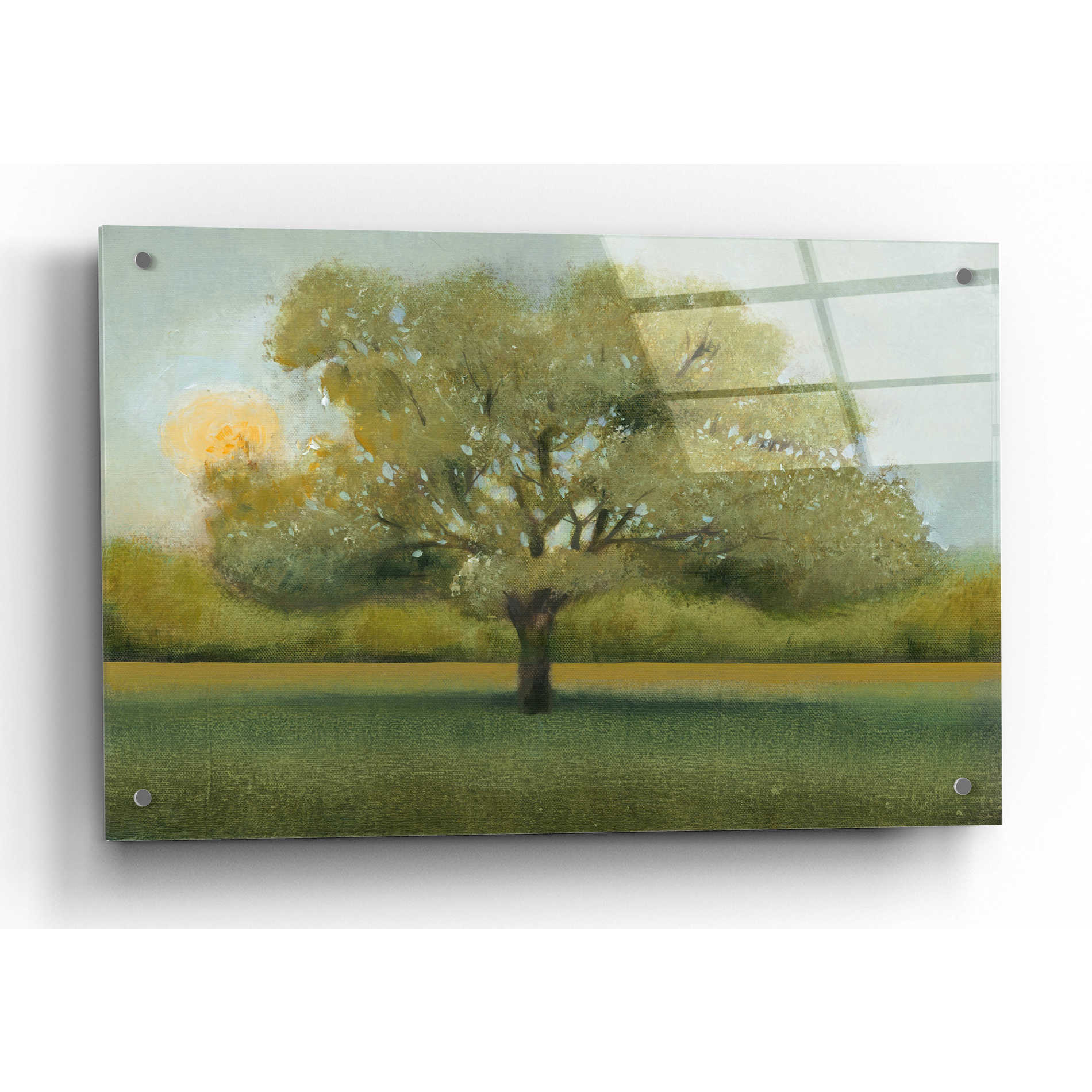 Epic Art 'Sunrise II' by Tim O'Toole, Acrylic Glass Wall Art,36x24