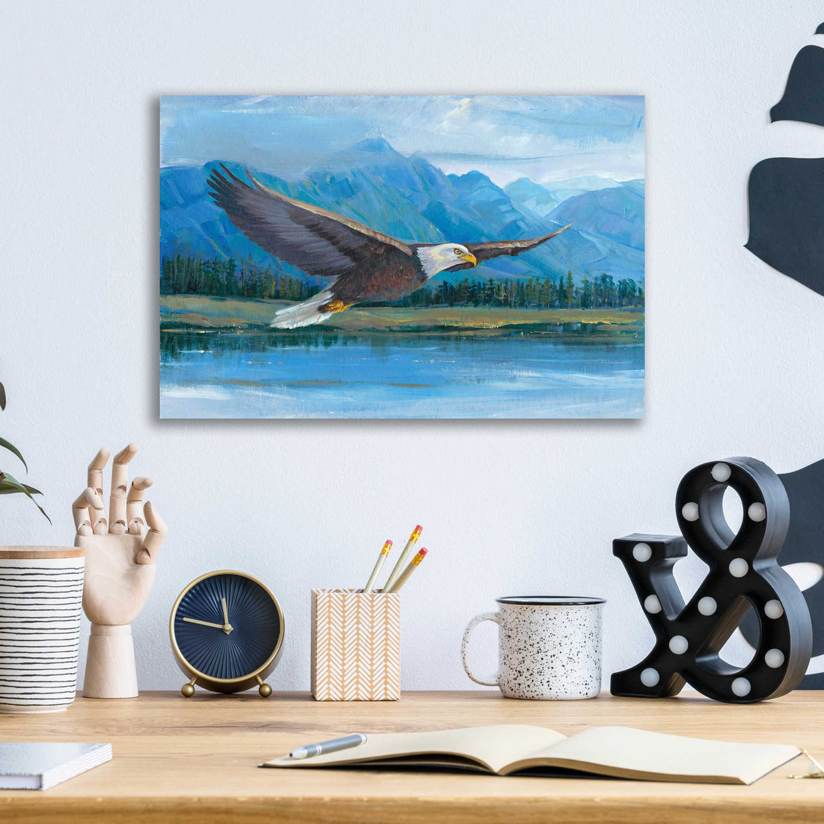 Epic Art 'Eagle Soaring' by Tim O'Toole, Acrylic Glass Wall Art,16x12