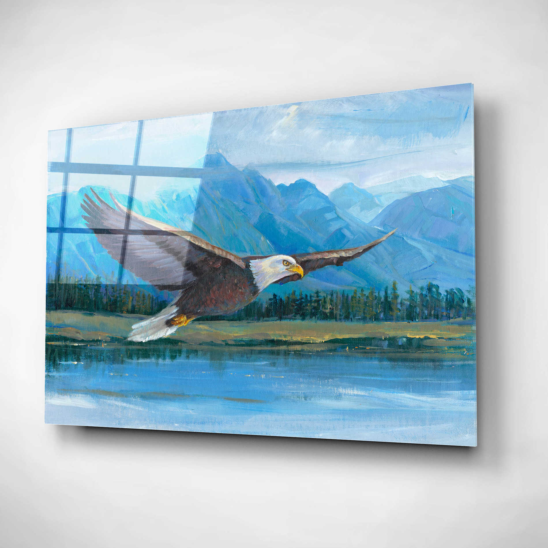 Epic Art 'Eagle Soaring' by Tim O'Toole, Acrylic Glass Wall Art,24x16