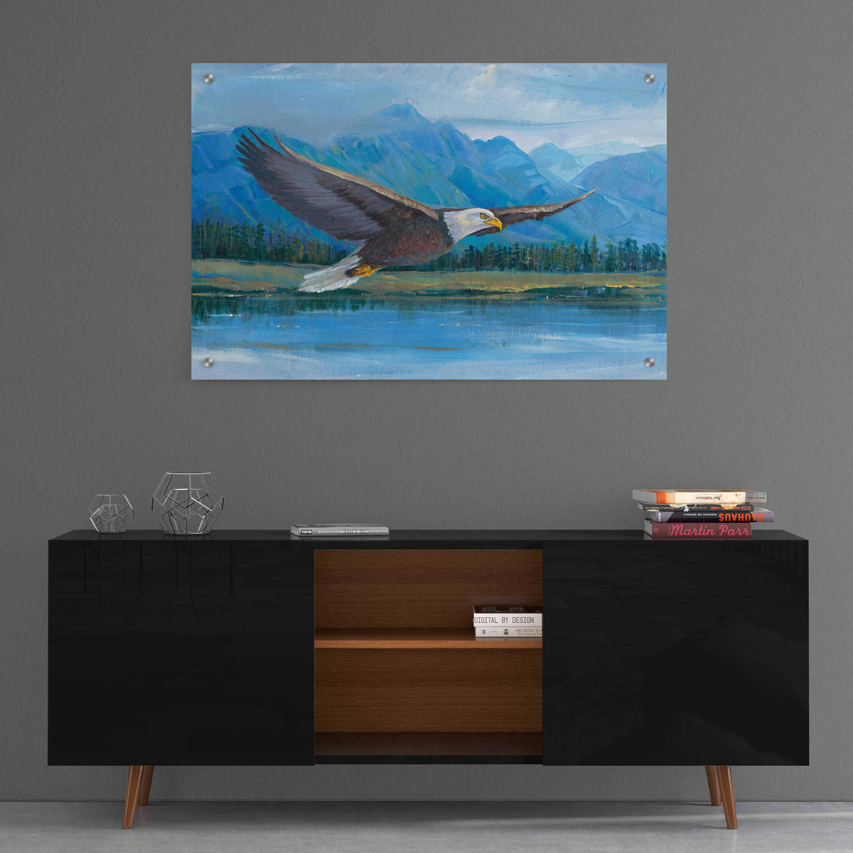 Epic Art 'Eagle Soaring' by Tim O'Toole, Acrylic Glass Wall Art,36x24