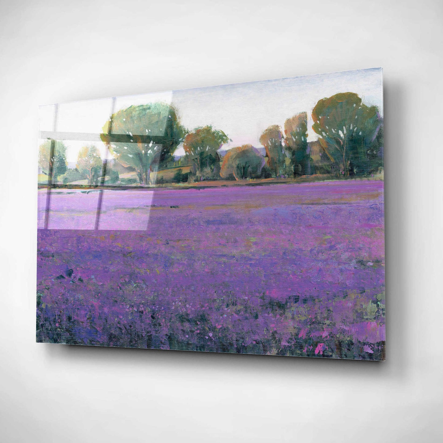 Epic Art 'Lavender Field I' by Tim O'Toole, Acrylic Glass Wall Art,16x12