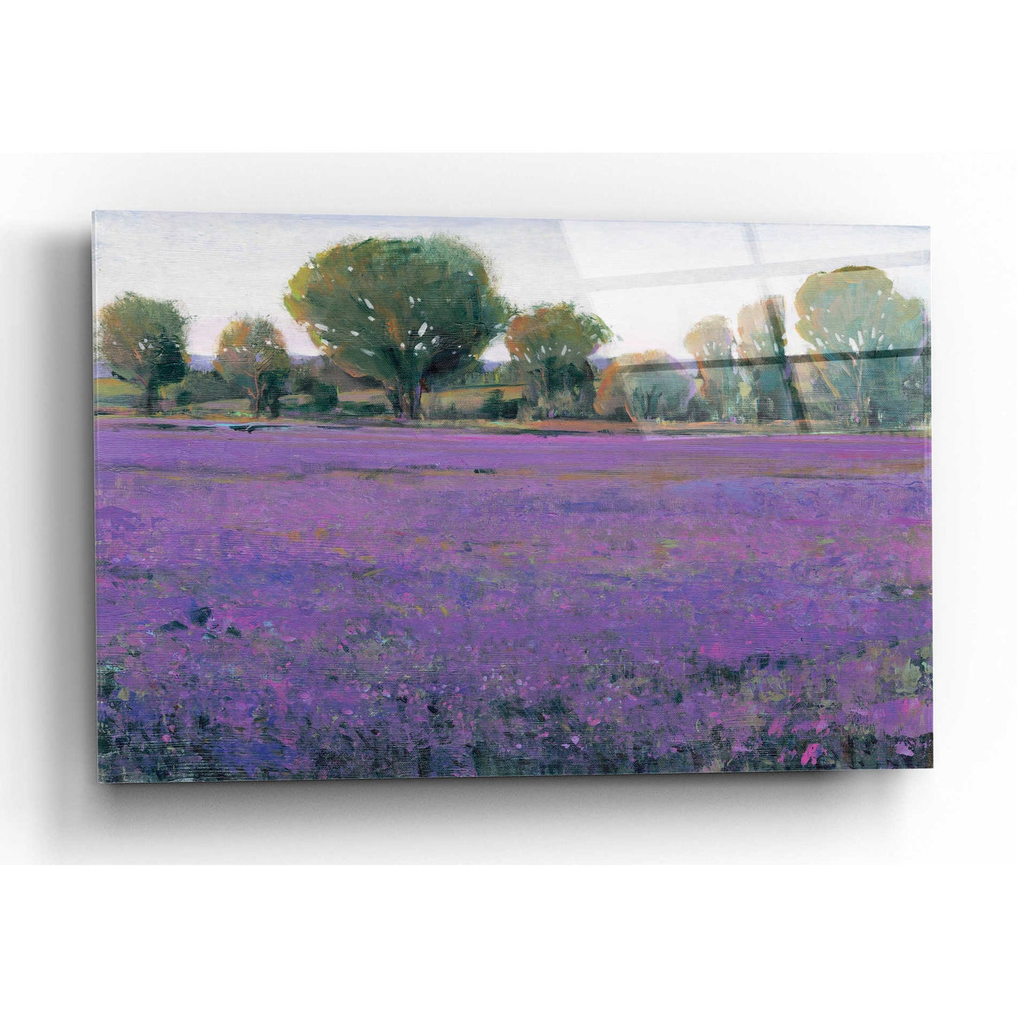 Epic Art 'Lavender Field I' by Tim O'Toole, Acrylic Glass Wall Art,16x12