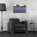 Epic Art 'Lavender Field I' by Tim O'Toole, Acrylic Glass Wall Art,24x16