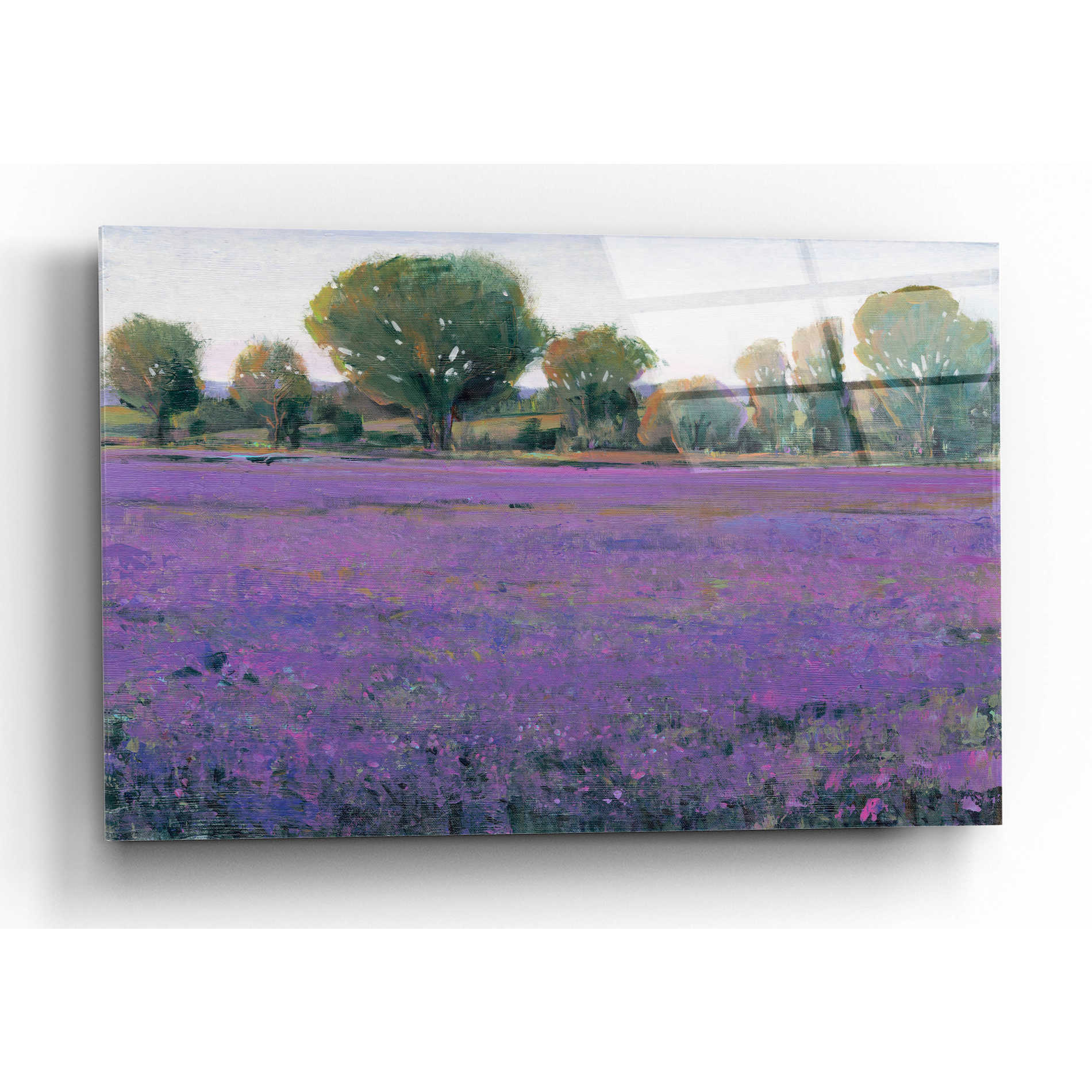 Epic Art 'Lavender Field I' by Tim O'Toole, Acrylic Glass Wall Art,24x16