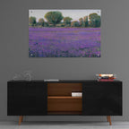 Epic Art 'Lavender Field I' by Tim O'Toole, Acrylic Glass Wall Art,36x24