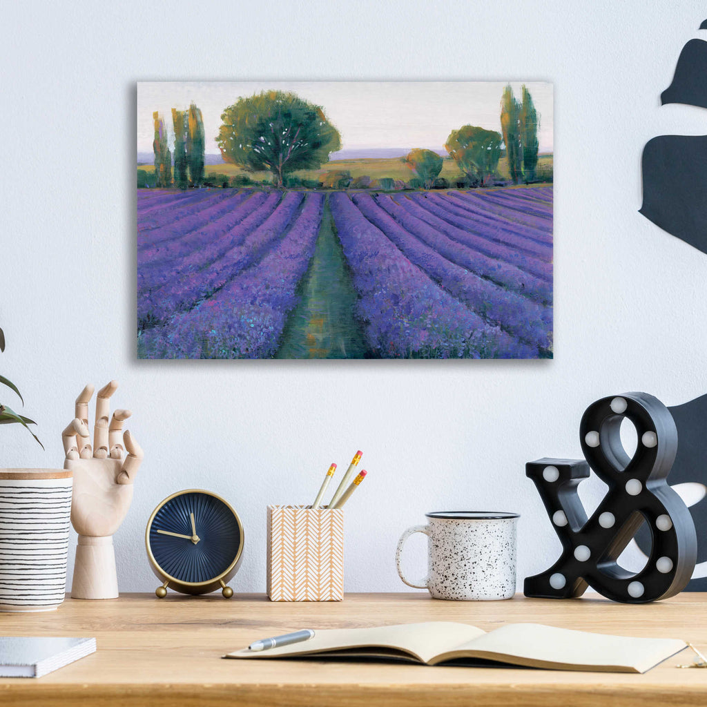 Epic Art 'Lavender Field II' by Tim O'Toole, Acrylic Glass Wall Art,16x12
