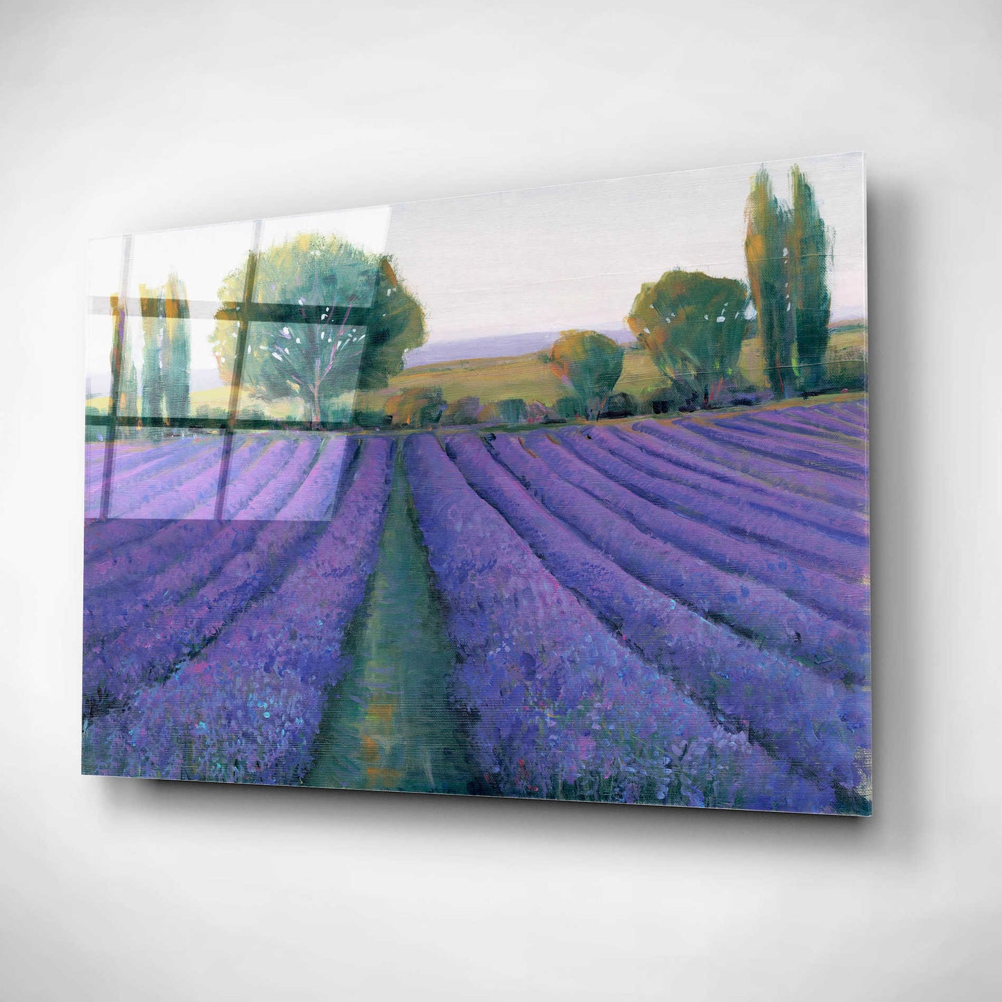 Epic Art 'Lavender Field II' by Tim O'Toole, Acrylic Glass Wall Art,24x16