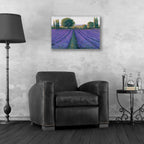 Epic Art 'Lavender Field II' by Tim O'Toole, Acrylic Glass Wall Art,24x16