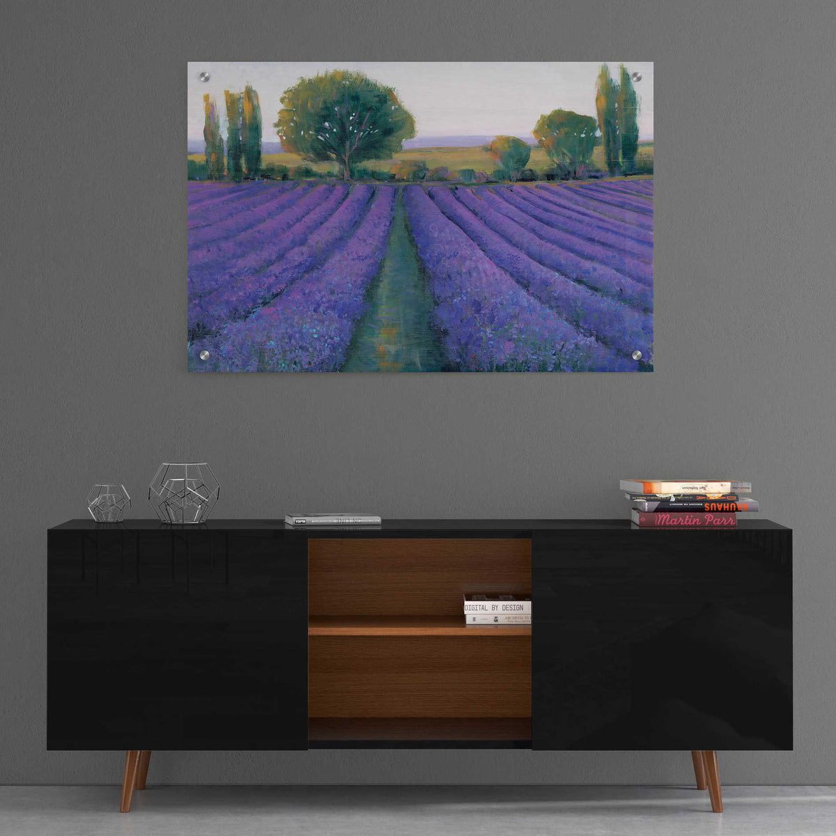 Epic Art 'Lavender Field II' by Tim O'Toole, Acrylic Glass Wall Art,36x24