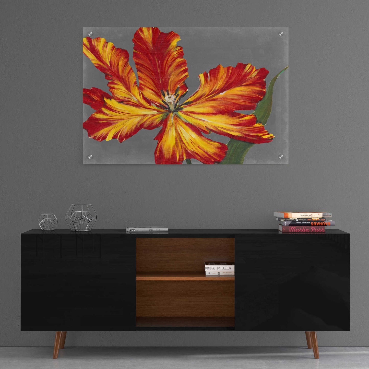 Epic Art 'Tulip Portrait II' by Tim O'Toole, Acrylic Glass Wall Art,36x24