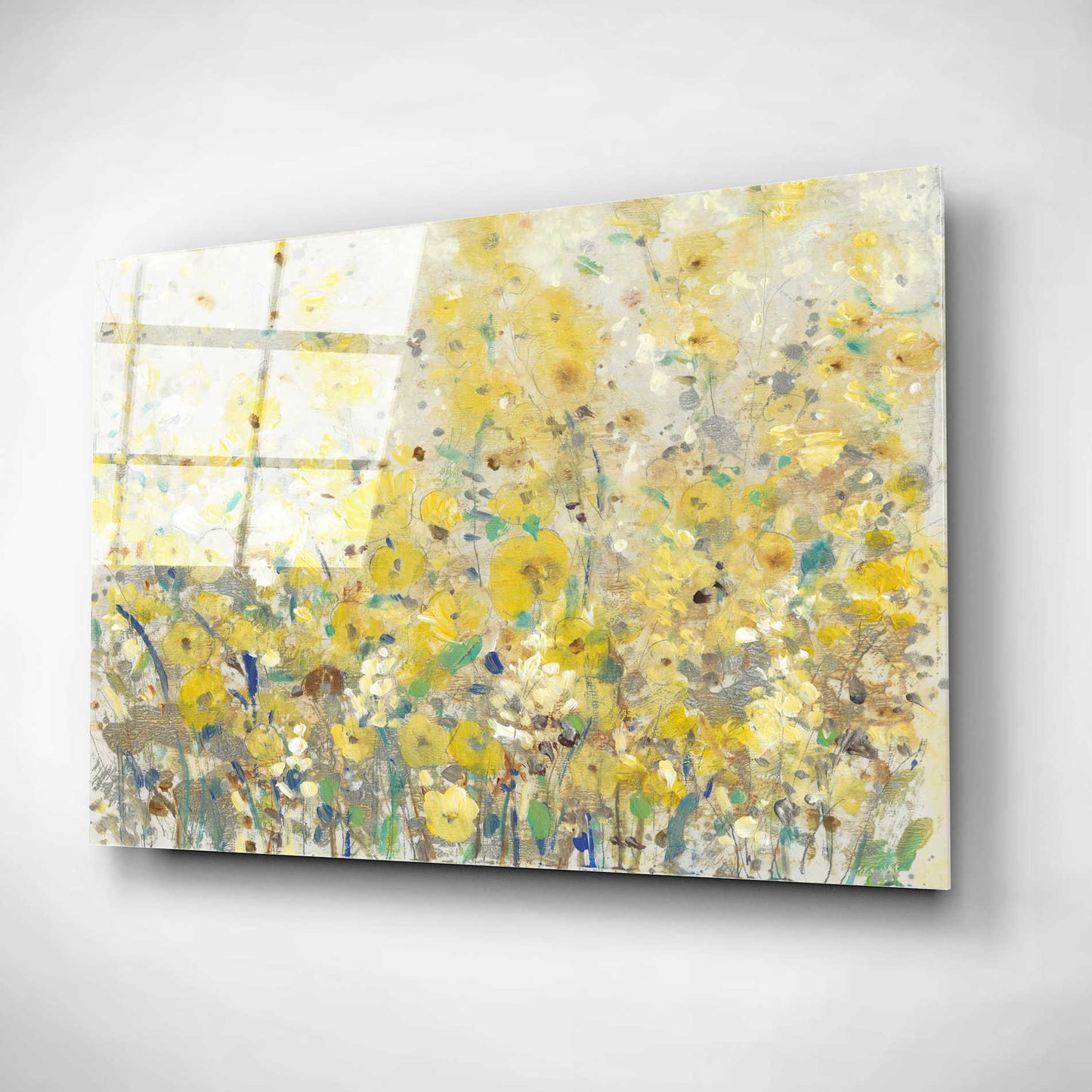 Epic Art 'Cheerful Garden I' by Tim O'Toole, Acrylic Glass Wall Art,16x12