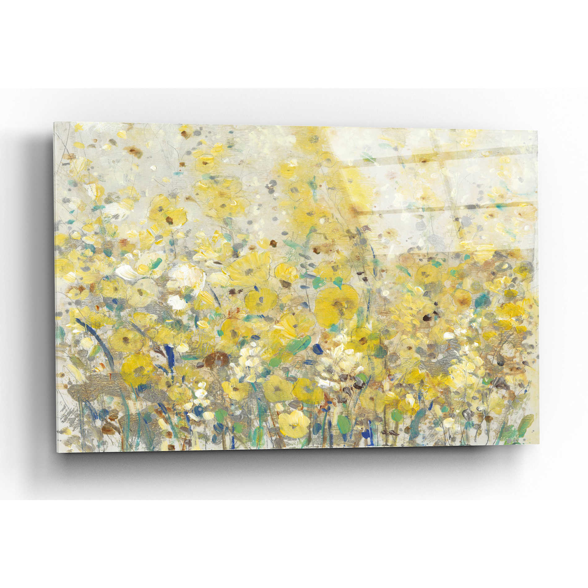 Epic Art 'Cheerful Garden I' by Tim O'Toole, Acrylic Glass Wall Art,16x12