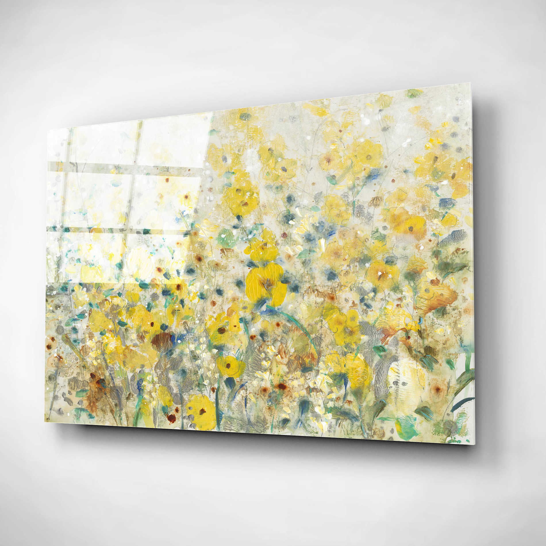 Epic Art 'Cheerful Garden II' by Tim O'Toole, Acrylic Glass Wall Art,16x12