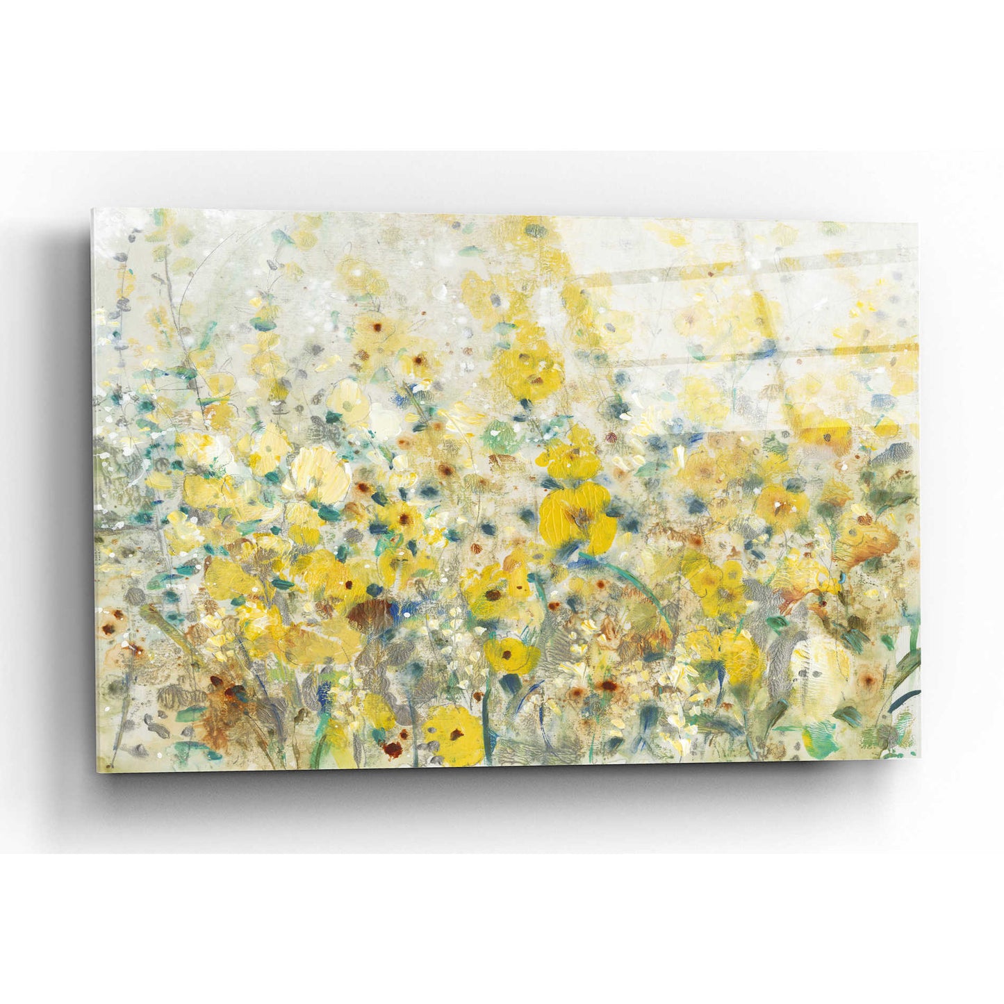 Epic Art 'Cheerful Garden II' by Tim O'Toole, Acrylic Glass Wall Art,16x12