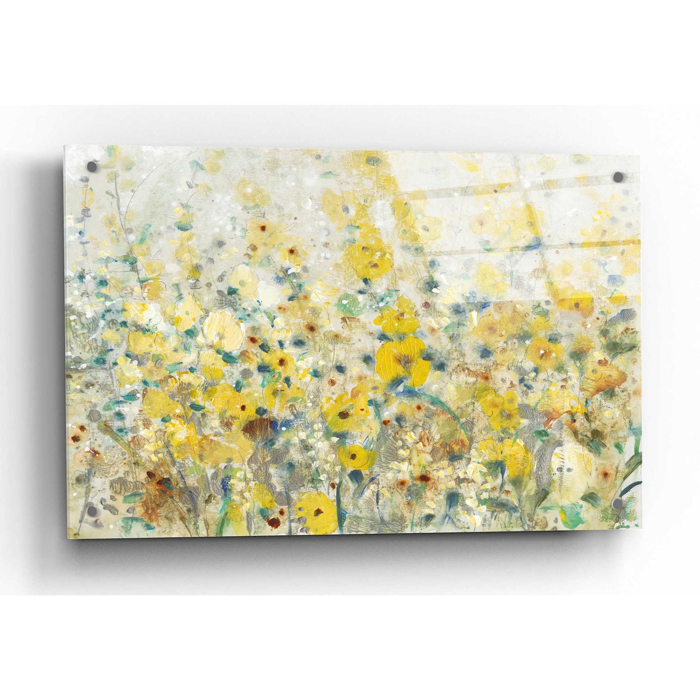 Epic Art 'Cheerful Garden II' by Tim O'Toole, Acrylic Glass Wall Art,36x24