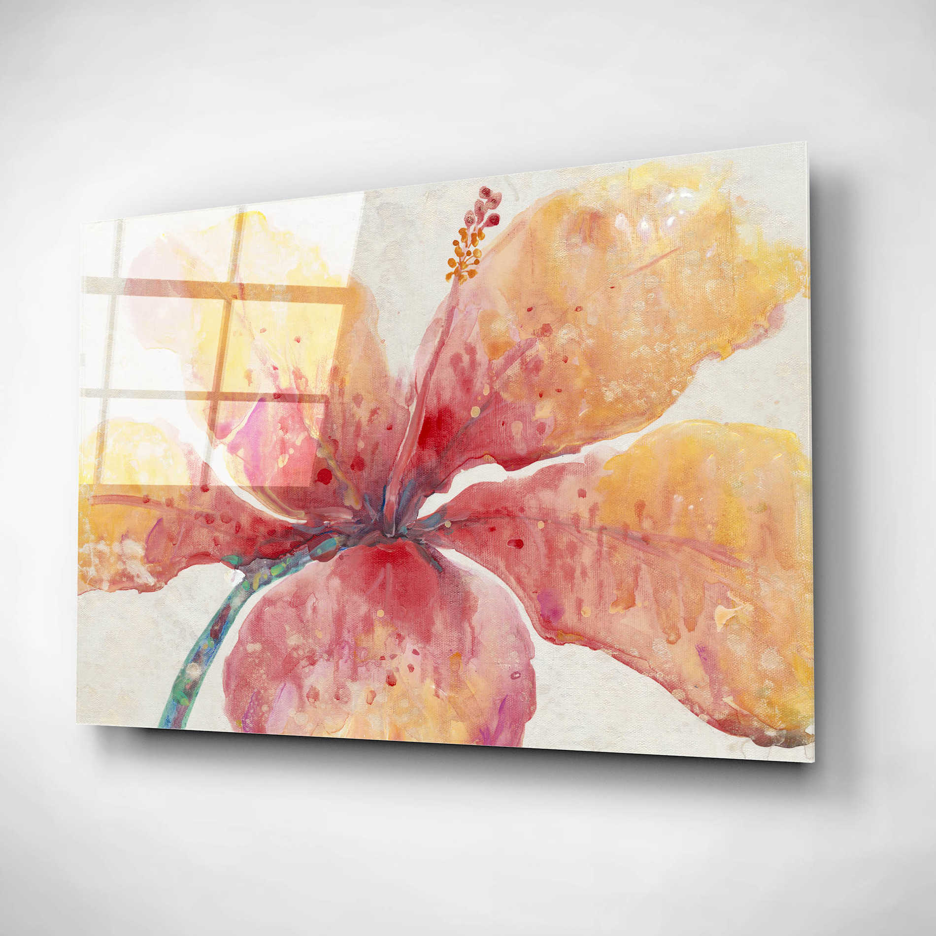 Epic Art 'Blooming Hibiscus' by Tim O'Toole, Acrylic Glass Wall Art,16x12