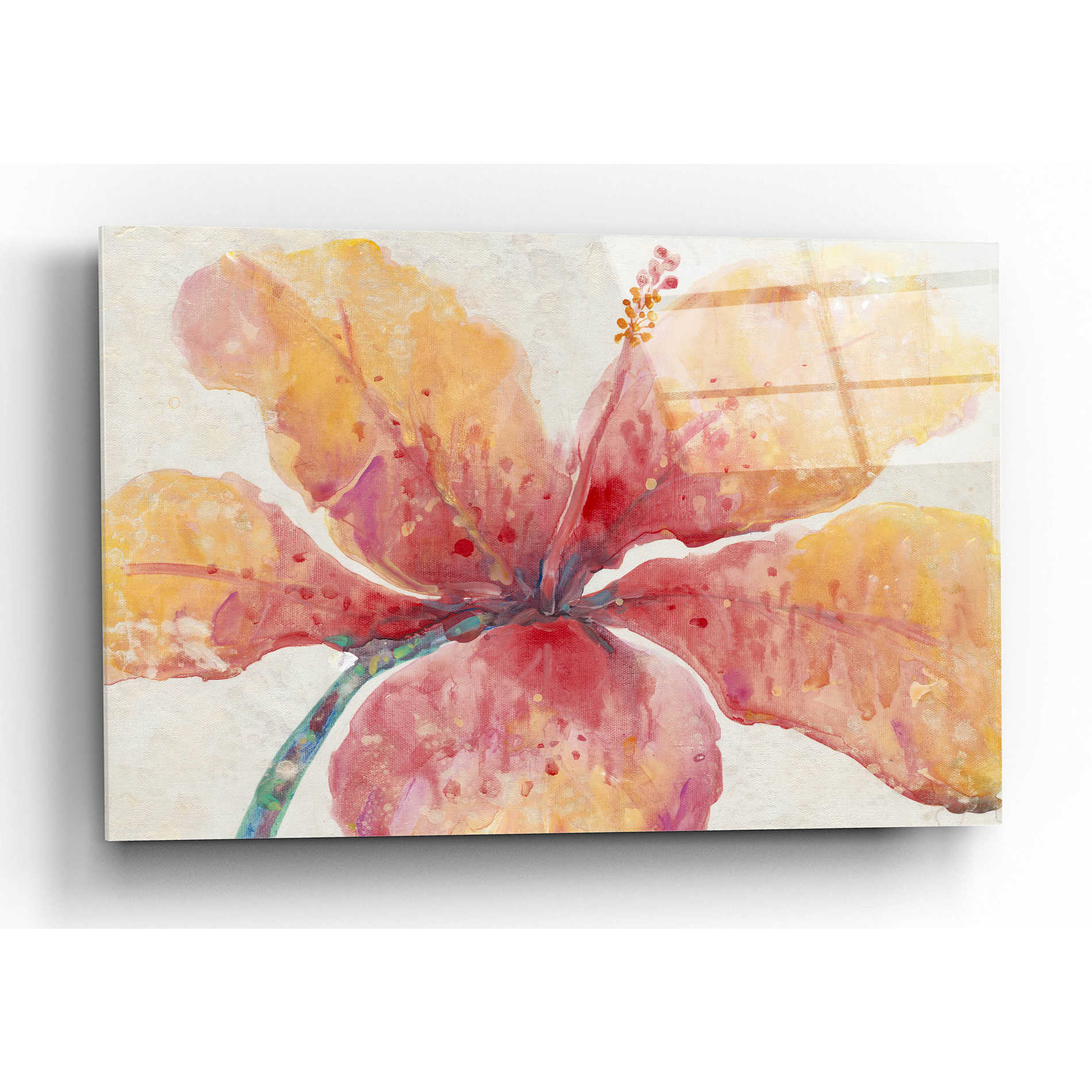 Epic Art 'Blooming Hibiscus' by Tim O'Toole, Acrylic Glass Wall Art,16x12