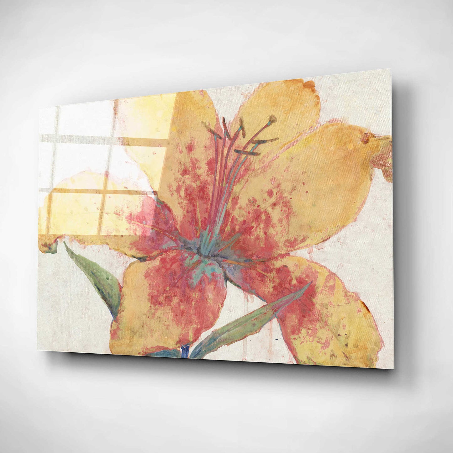 Epic Art 'Blooming Lily' by Tim O'Toole, Acrylic Glass Wall Art,16x12