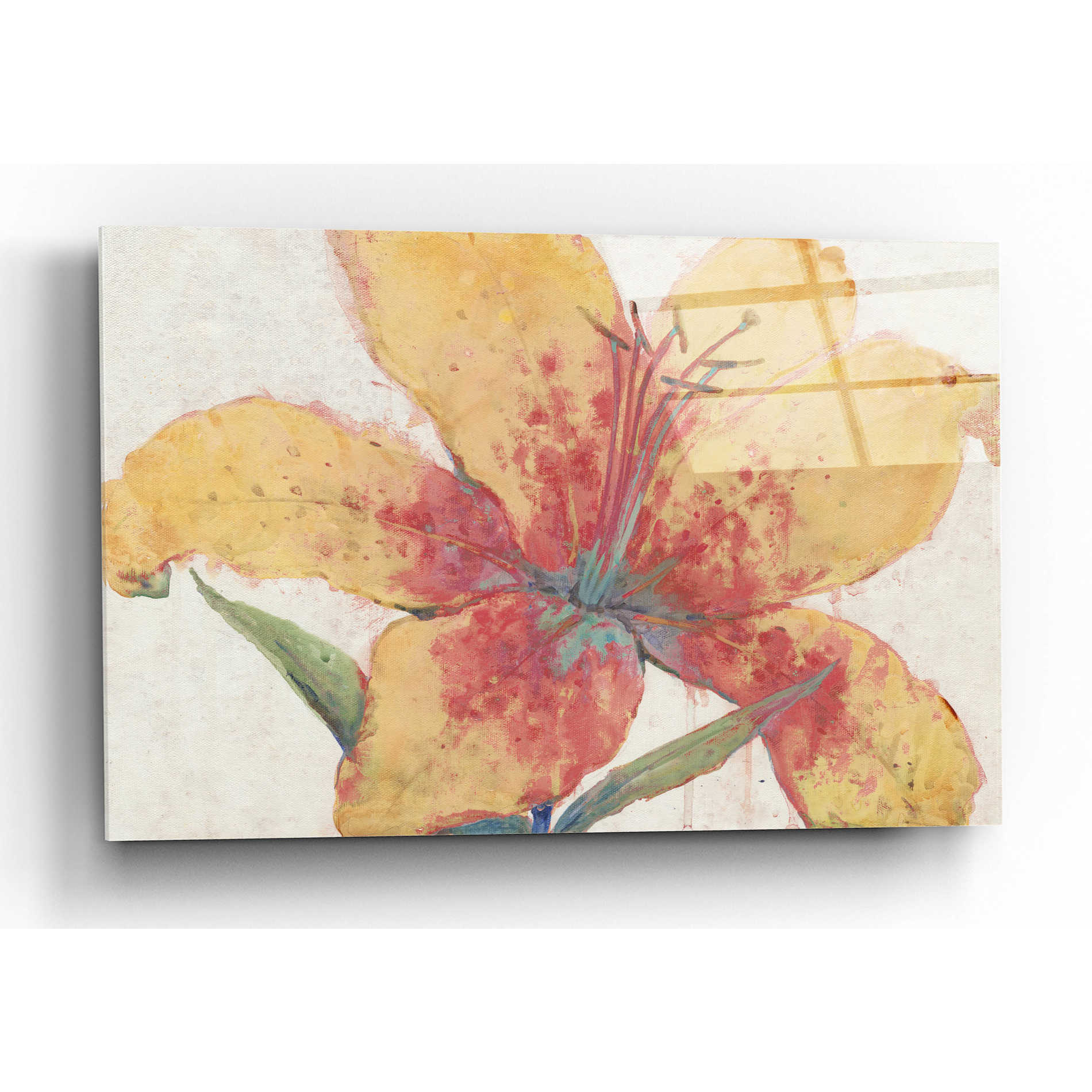 Epic Art 'Blooming Lily' by Tim O'Toole, Acrylic Glass Wall Art,16x12