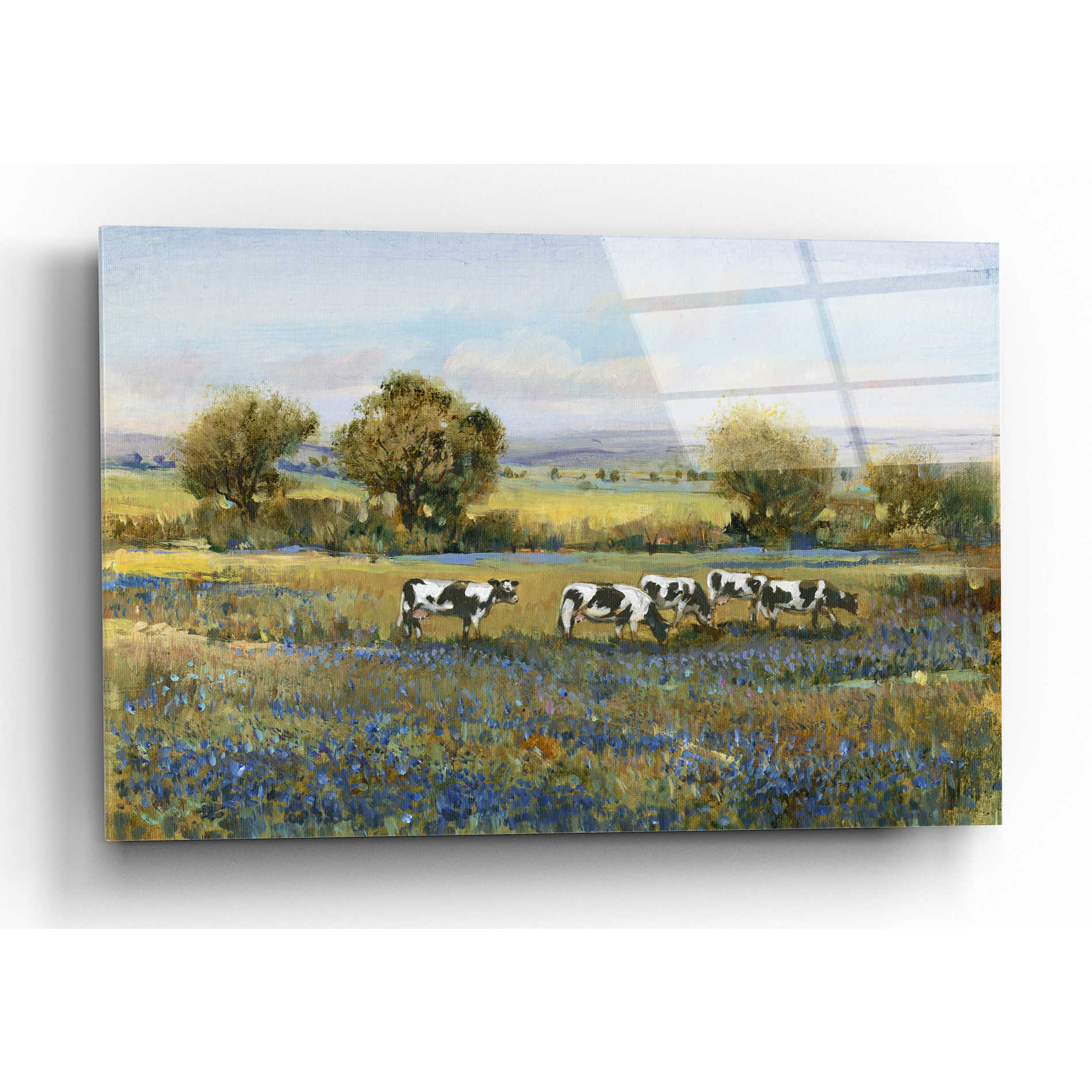 Epic Art 'Field of Cattle I' by Tim O'Toole, Acrylic Glass Wall Art,16x12