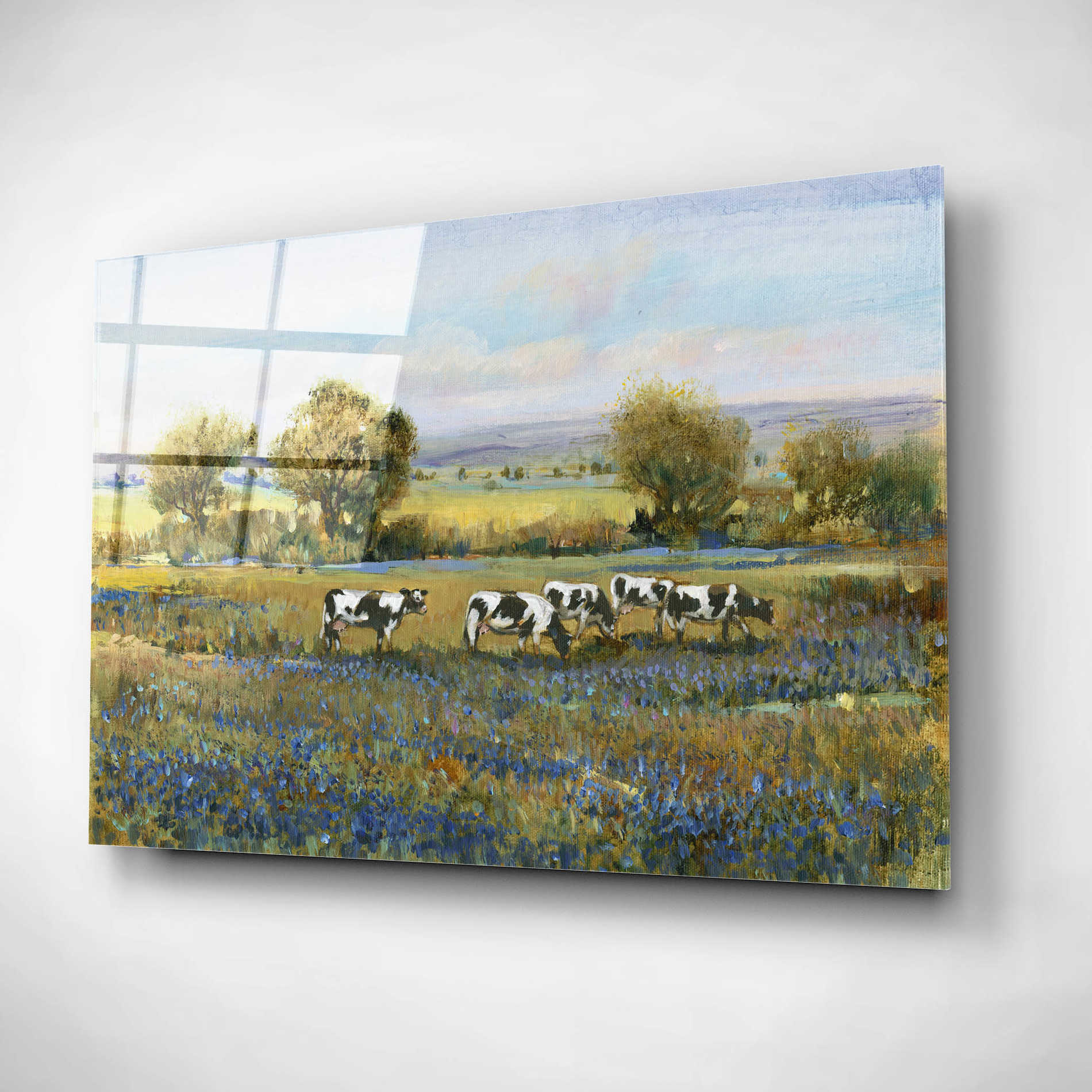 Epic Art 'Field of Cattle I' by Tim O'Toole, Acrylic Glass Wall Art,24x16