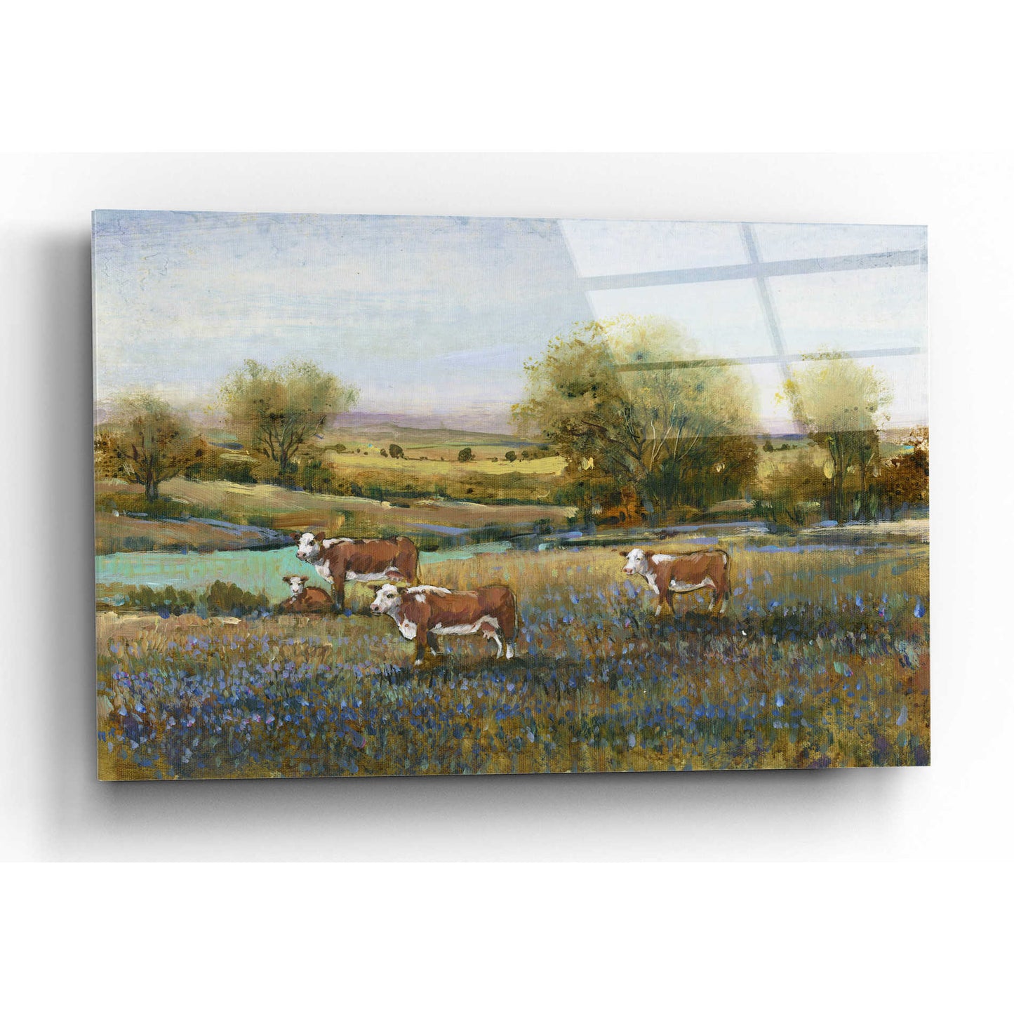 Epic Art 'Field of Cattle II' by Tim O'Toole, Acrylic Glass Wall Art,16x12