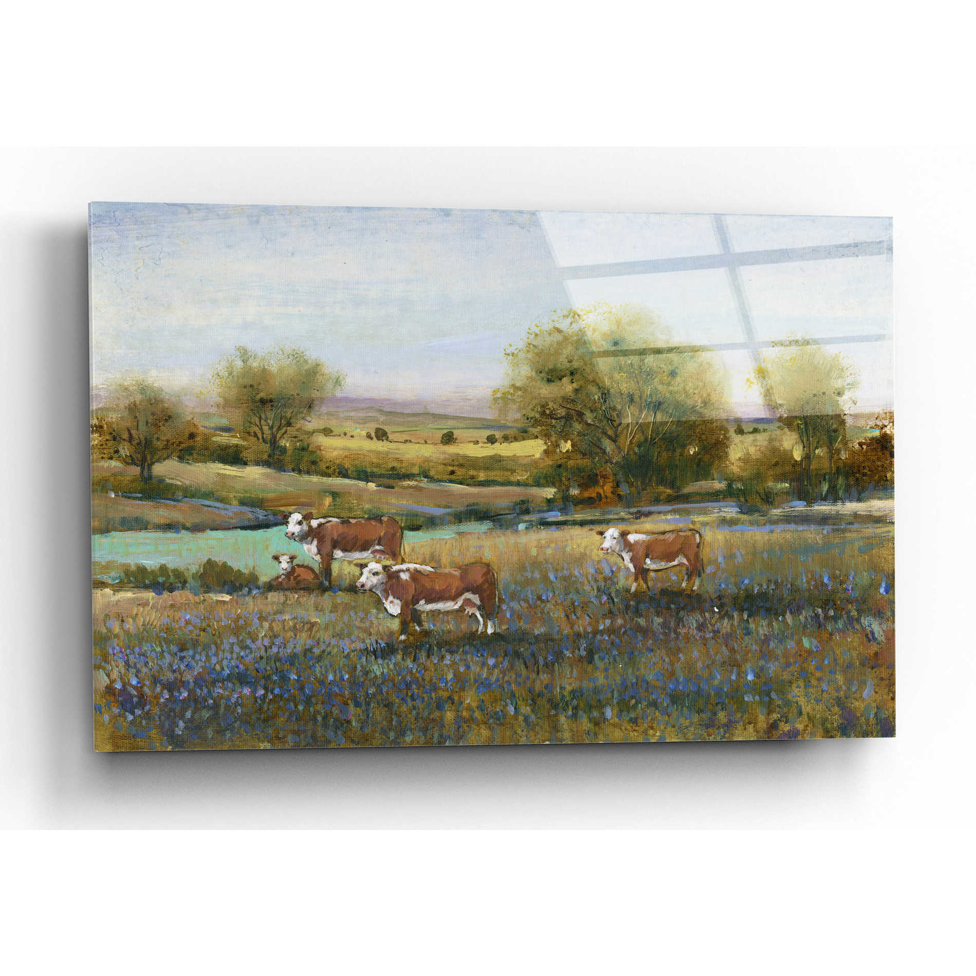 Epic Art 'Field of Cattle II' by Tim O'Toole, Acrylic Glass Wall Art,24x16