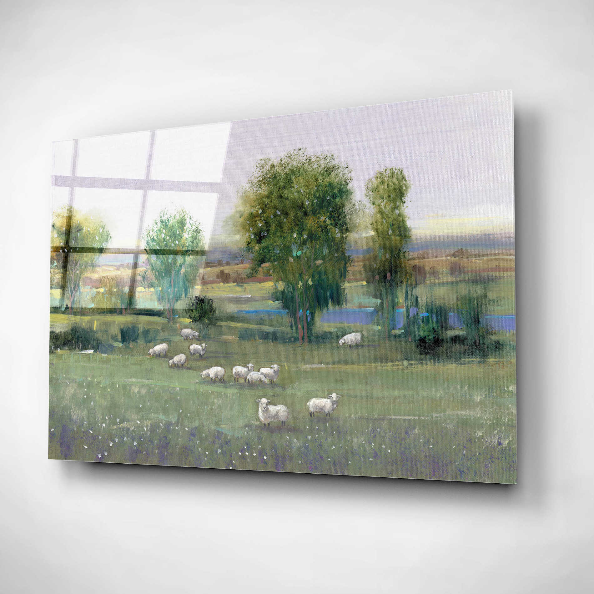 Epic Art 'Field of Sheep I' by Tim O'Toole, Acrylic Glass Wall Art,16x12