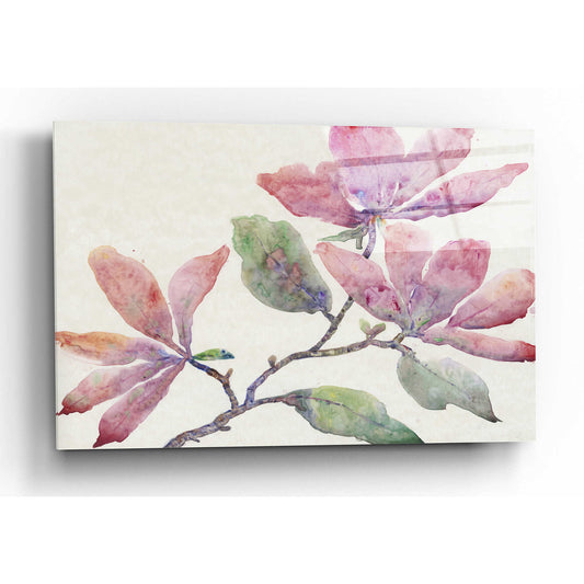 Epic Art 'Flowering Branch I' by Tim O'Toole, Acrylic Glass Wall Art