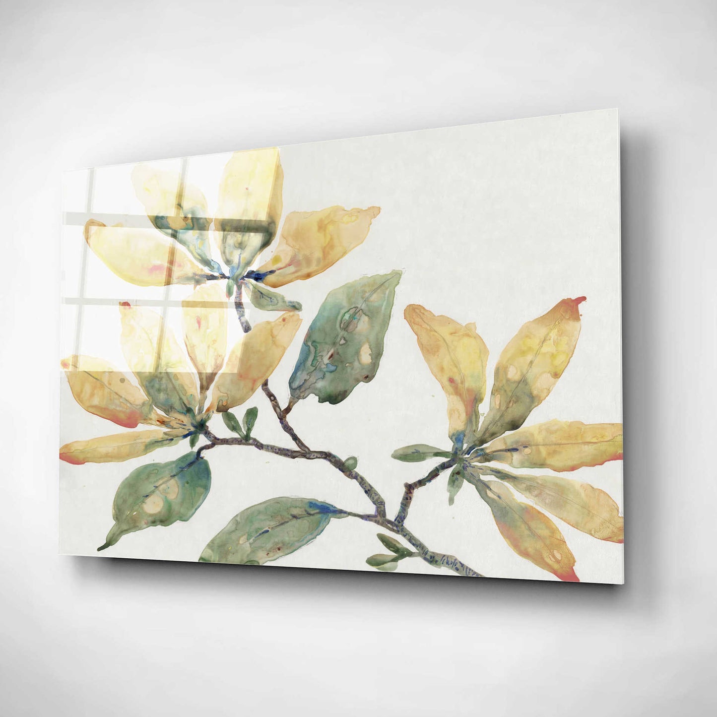 Epic Art 'Flowering Branch II' by Tim O'Toole, Acrylic Glass Wall Art,16x12