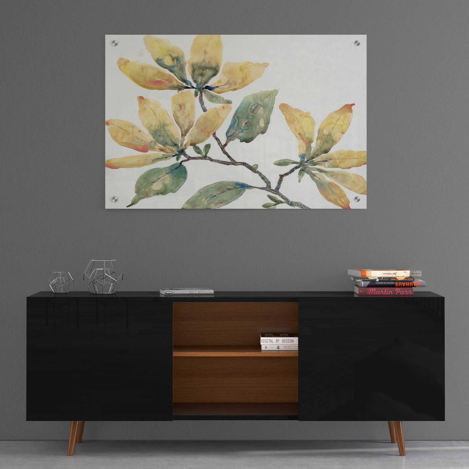 Epic Art 'Flowering Branch II' by Tim O'Toole, Acrylic Glass Wall Art,36x24