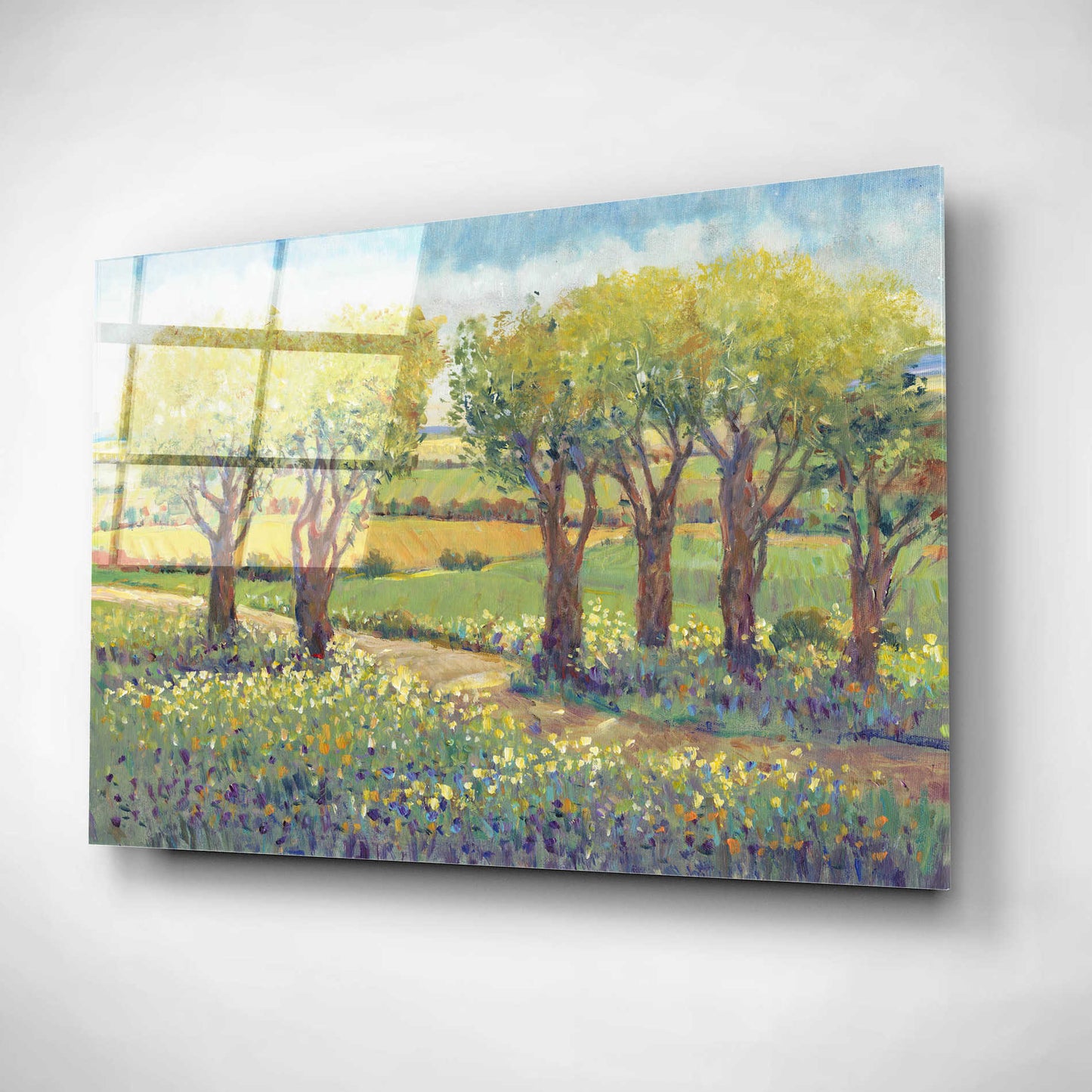 Epic Art 'Garden Path I' by Tim O'Toole, Acrylic Glass Wall Art,16x12