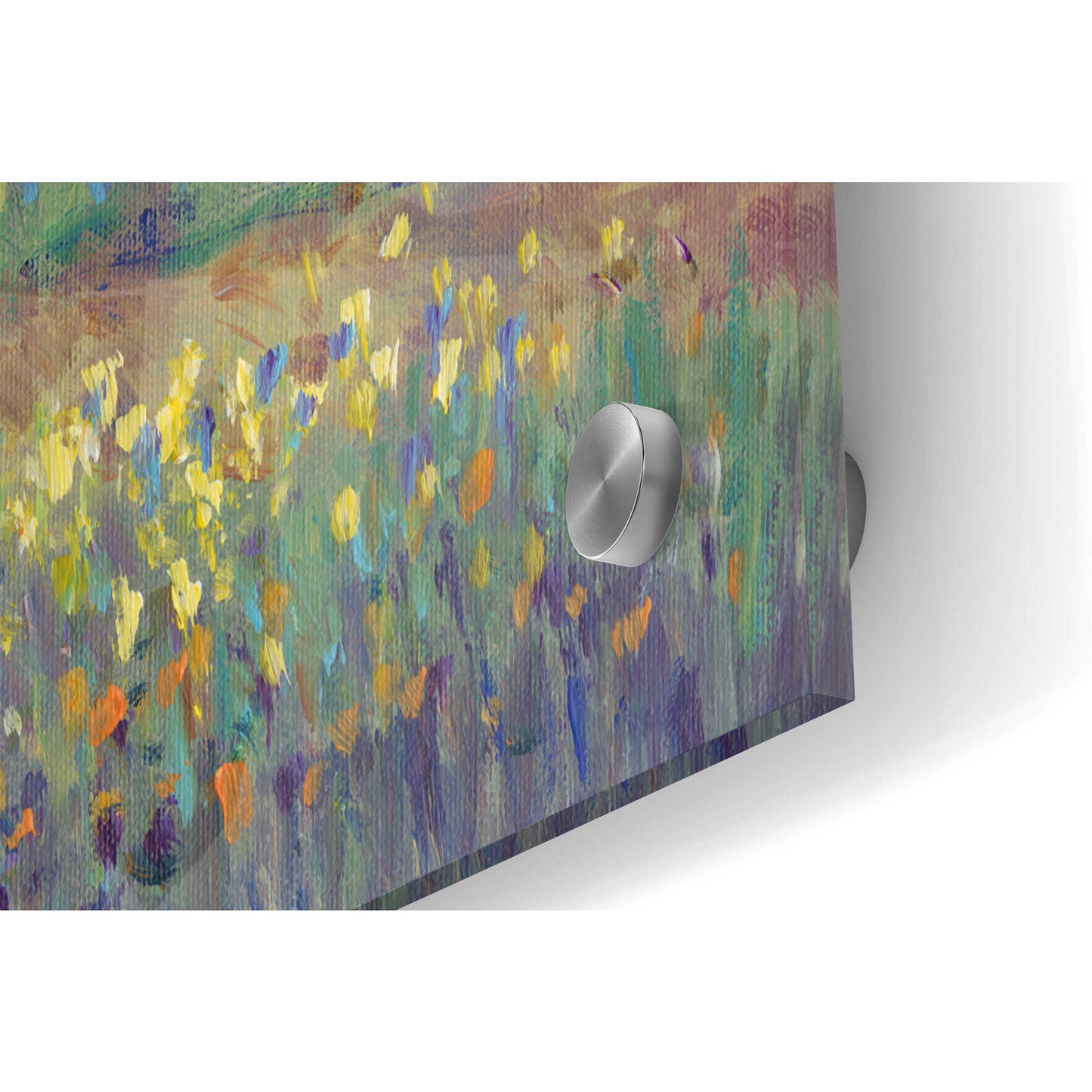 Epic Art 'Garden Path I' by Tim O'Toole, Acrylic Glass Wall Art,36x24