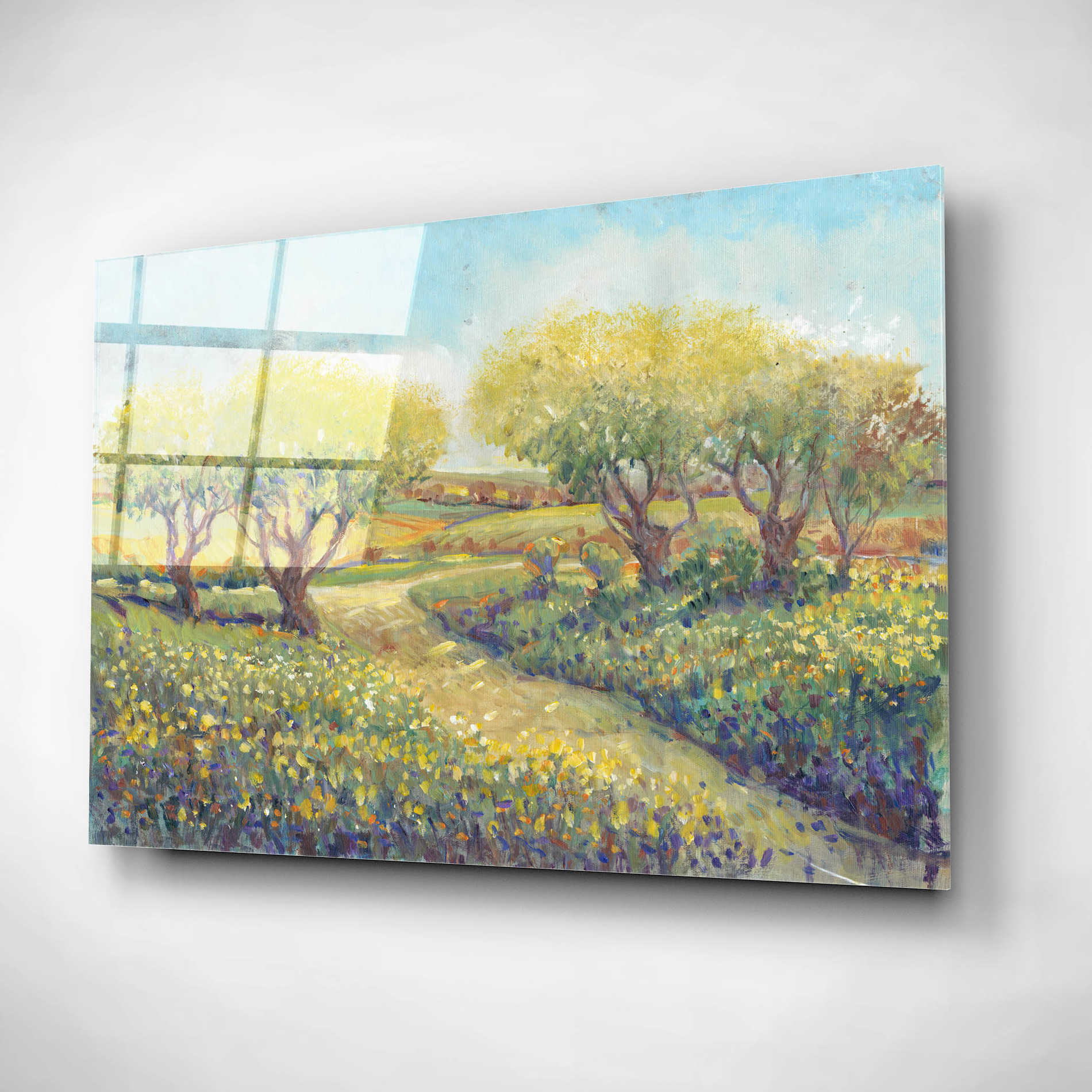 Epic Art 'Garden Path II' by Tim O'Toole, Acrylic Glass Wall Art,16x12