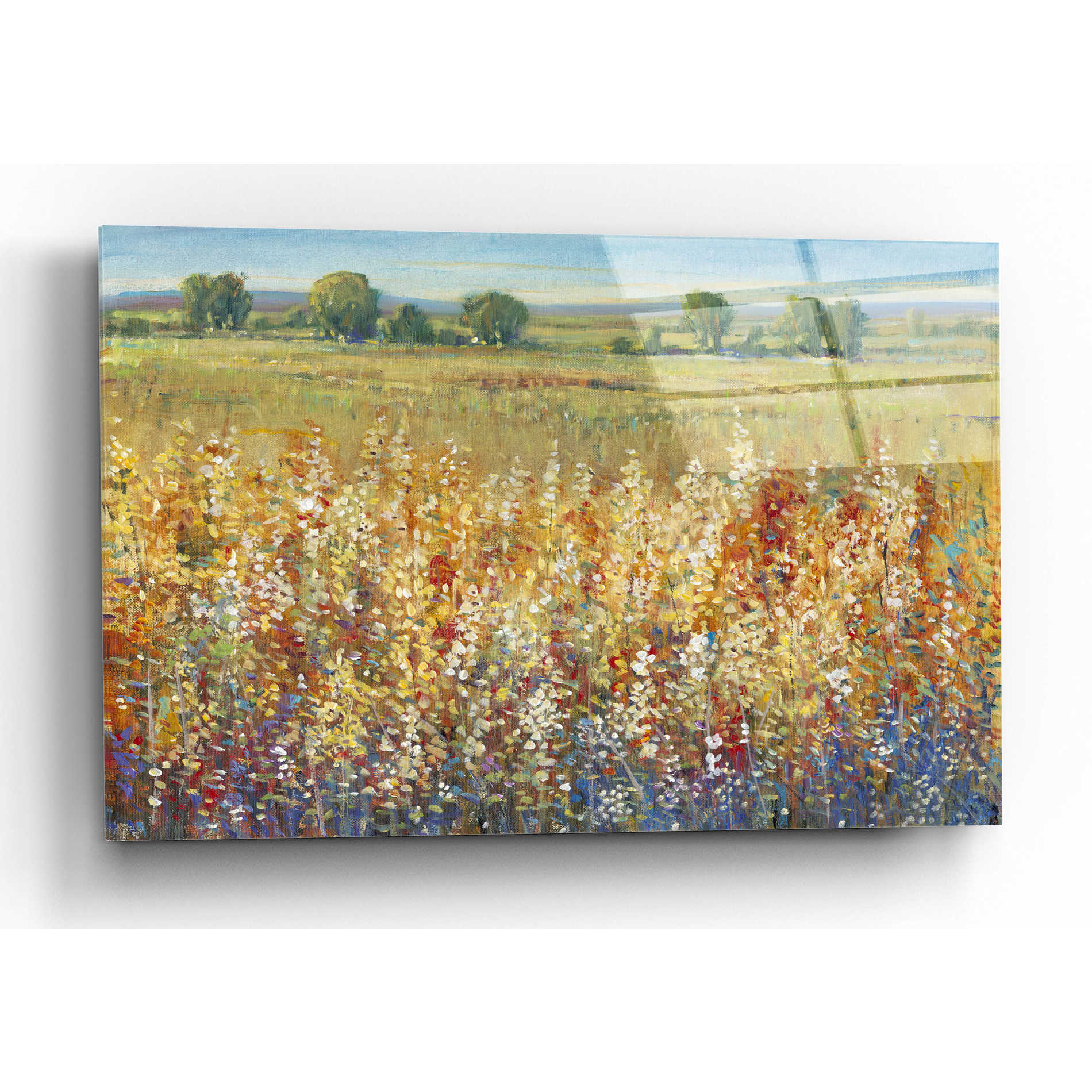 Epic Art 'Gold and Red Field I' by Tim O'Toole, Acrylic Glass Wall Art,16x12