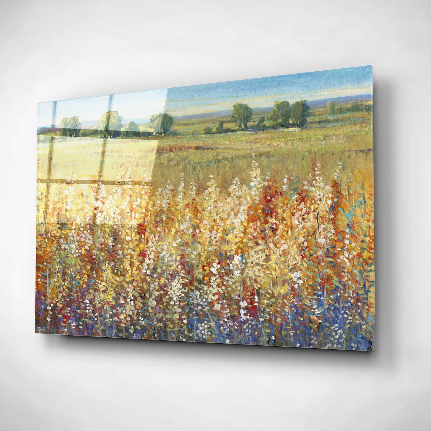 Epic Art 'Gold and Red Field I' by Tim O'Toole, Acrylic Glass Wall Art,24x16