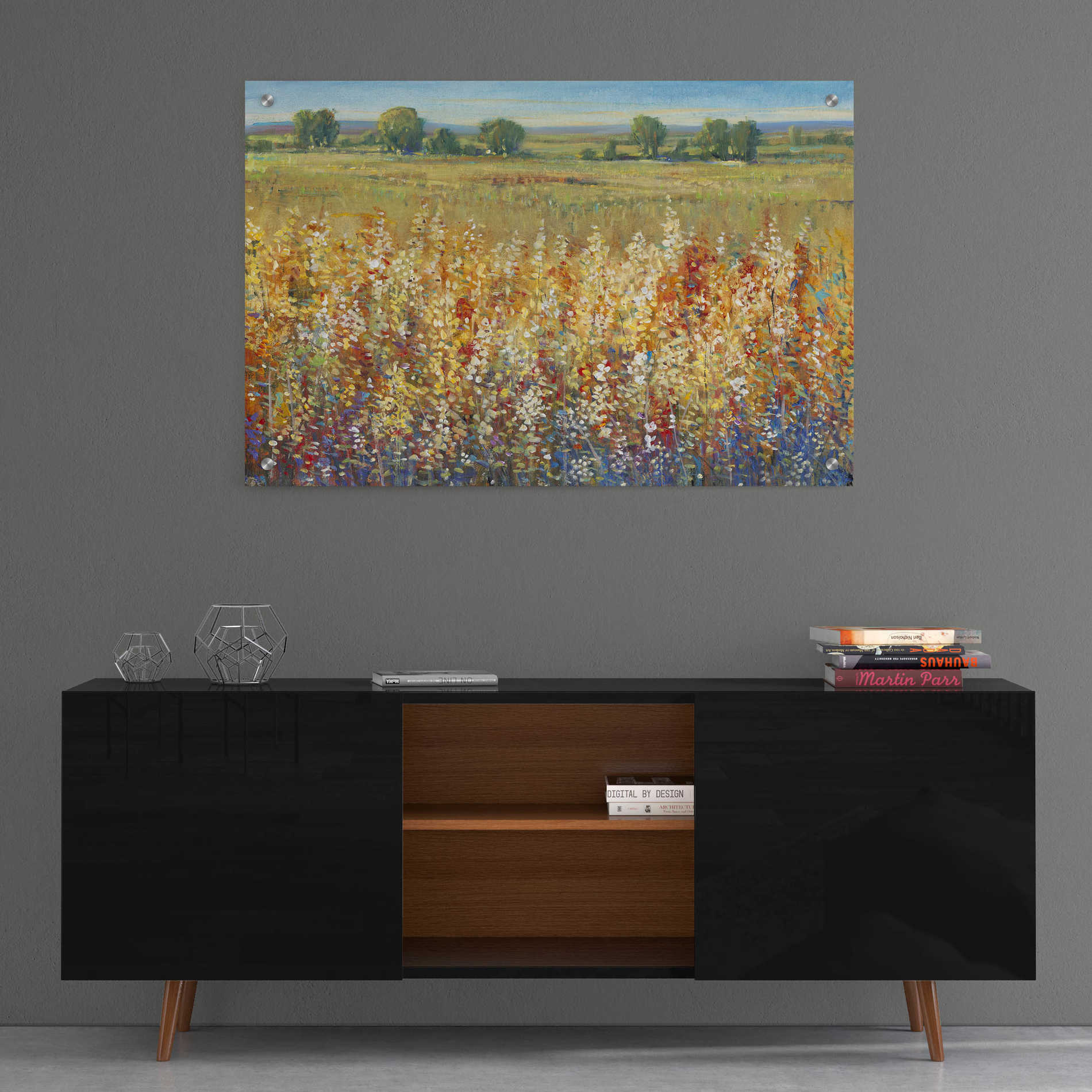 Epic Art 'Gold and Red Field I' by Tim O'Toole, Acrylic Glass Wall Art,36x24