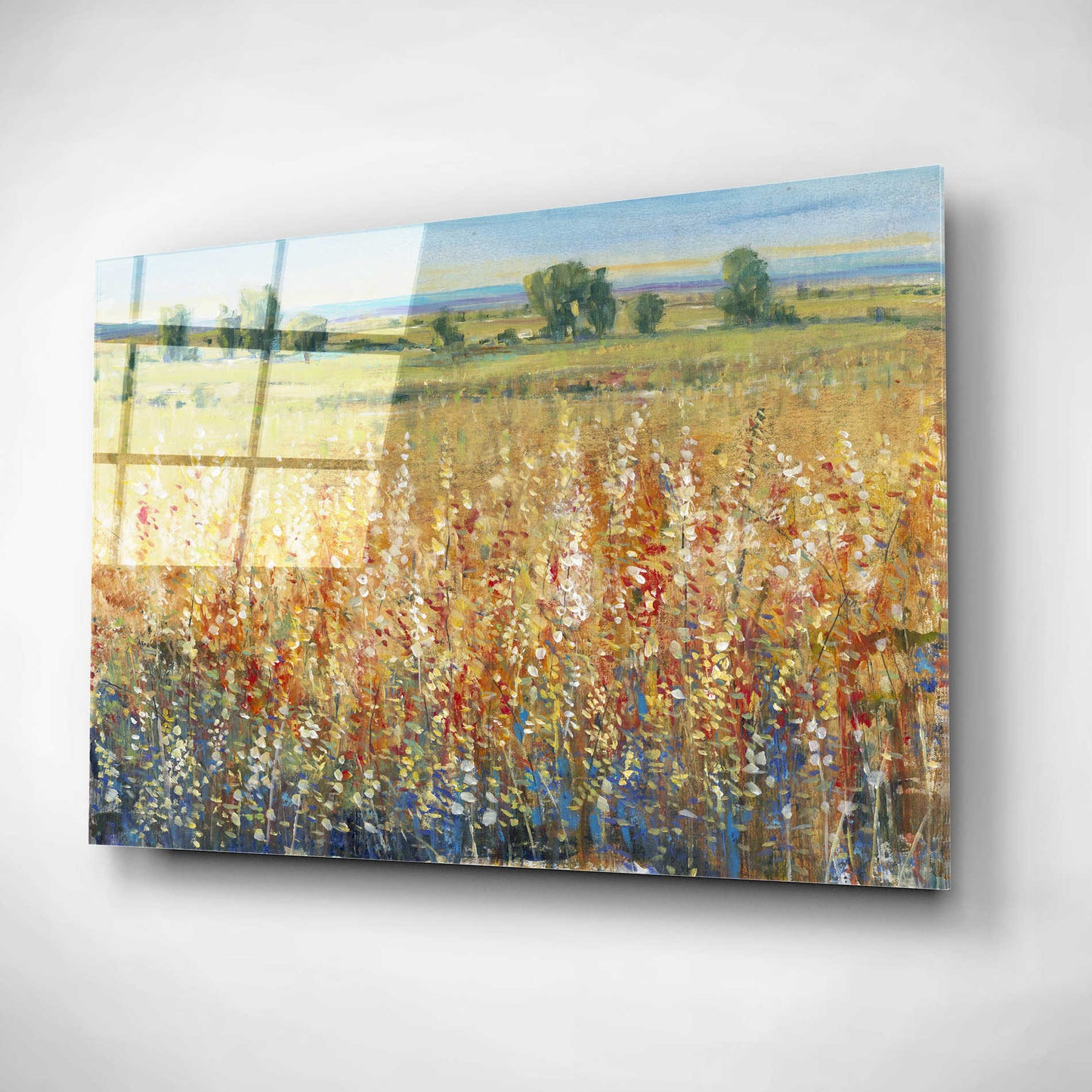 Epic Art 'Gold and Red Field II' by Tim O'Toole, Acrylic Glass Wall Art,16x12