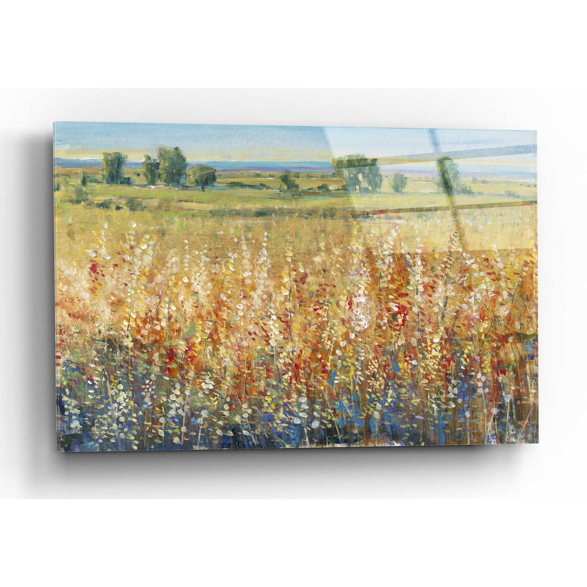 Epic Art 'Gold and Red Field II' by Tim O'Toole, Acrylic Glass Wall Art,16x12