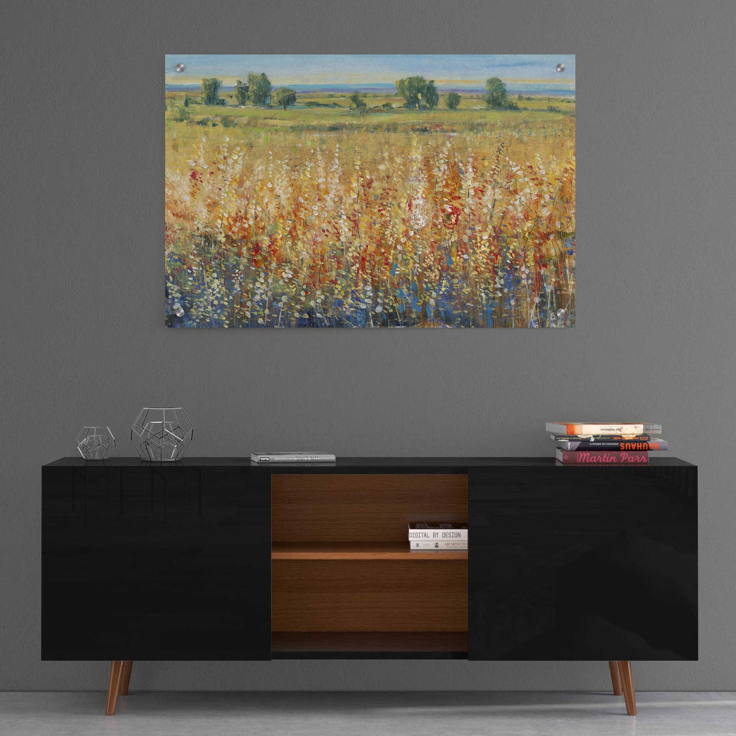 Epic Art 'Gold and Red Field II' by Tim O'Toole, Acrylic Glass Wall Art,36x24