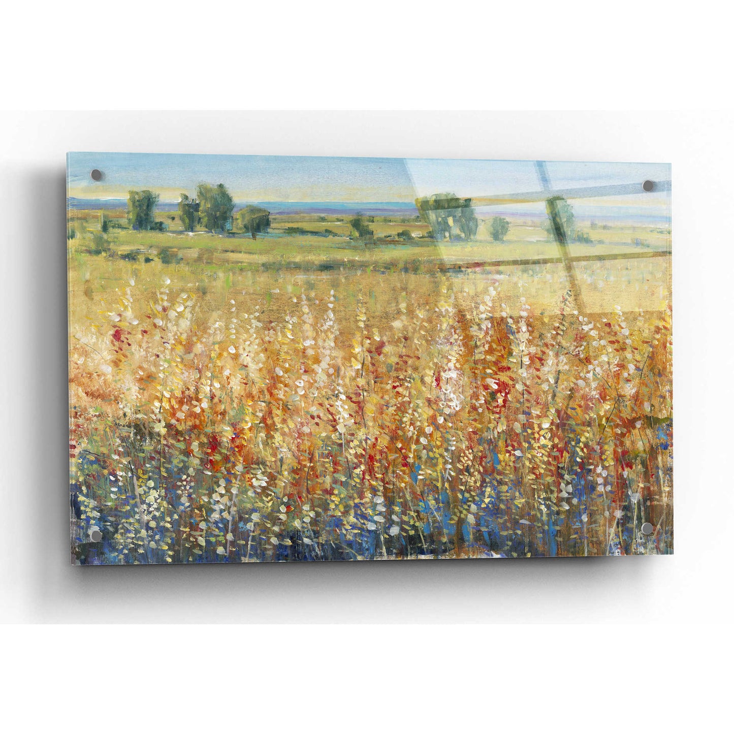 Epic Art 'Gold and Red Field II' by Tim O'Toole, Acrylic Glass Wall Art,36x24