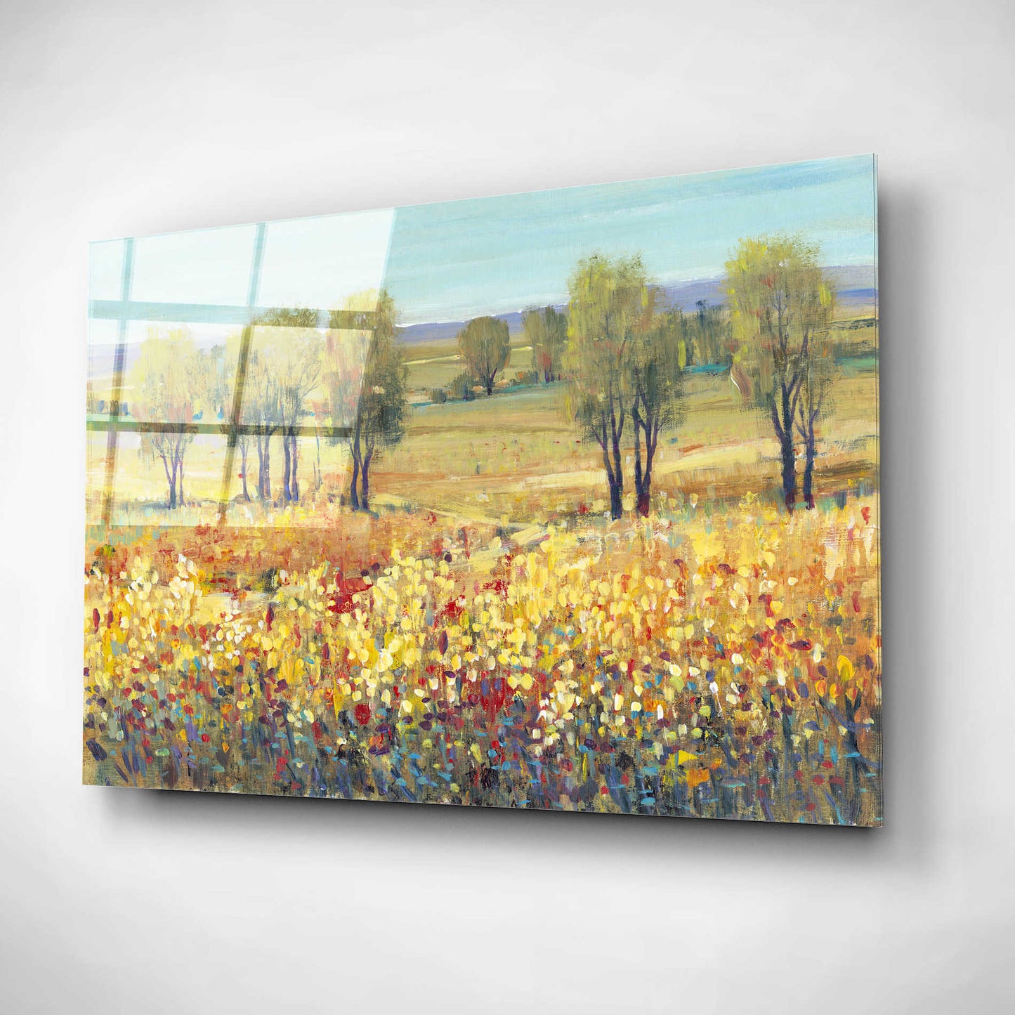 Epic Art 'Golden Fields I' by Tim O'Toole, Acrylic Glass Wall Art,16x12