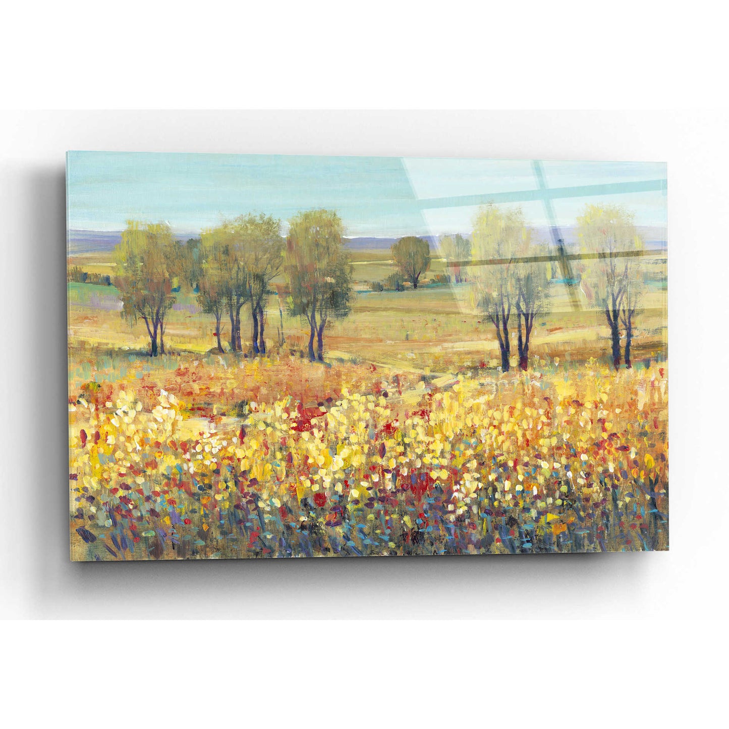 Epic Art 'Golden Fields I' by Tim O'Toole, Acrylic Glass Wall Art,16x12